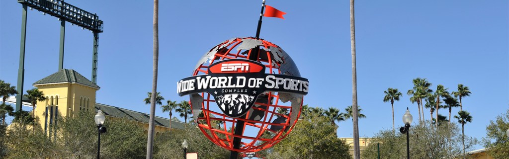 Covid-19 and its Effect on&nbsp;sports